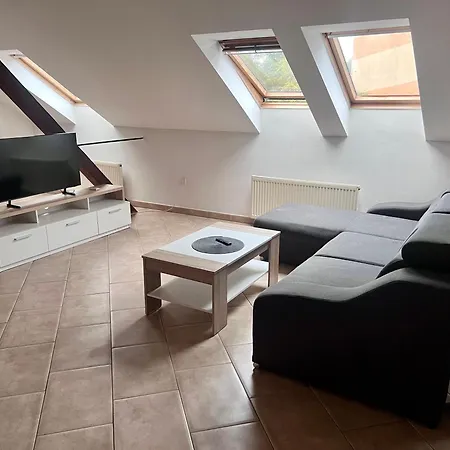 Velky Podkrovni Mezonet 100m2 アパート Ústí nad Labem