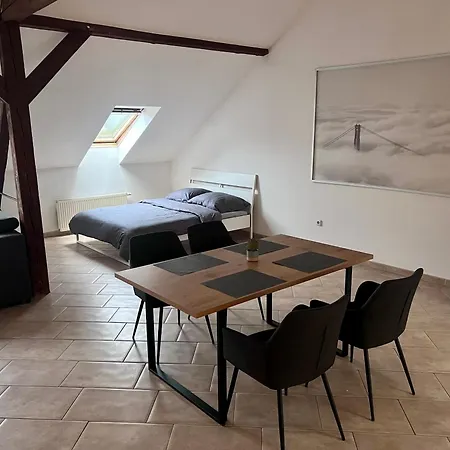 Velky Podkrovni Mezonet 100m2 Apartment Usti nad Labem